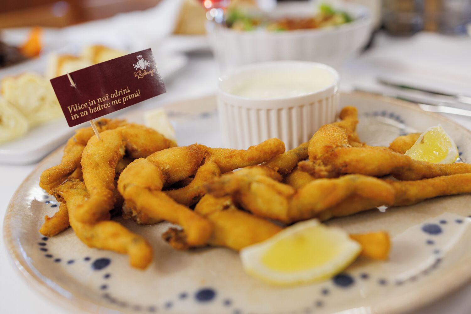 Foto - Pri Žabarju Bed & Breakfast Ljubljana