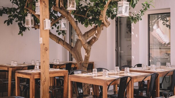 Un'area pranzo con tavoli e sedie in legno, un grande albero con lanterne appese e una porta in vetro sullo sfondo.