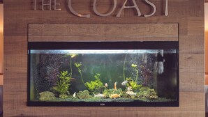 A fish tank with various aquatic plants and fish, mounted on a wooden wall with the text "THE COAST" above it.