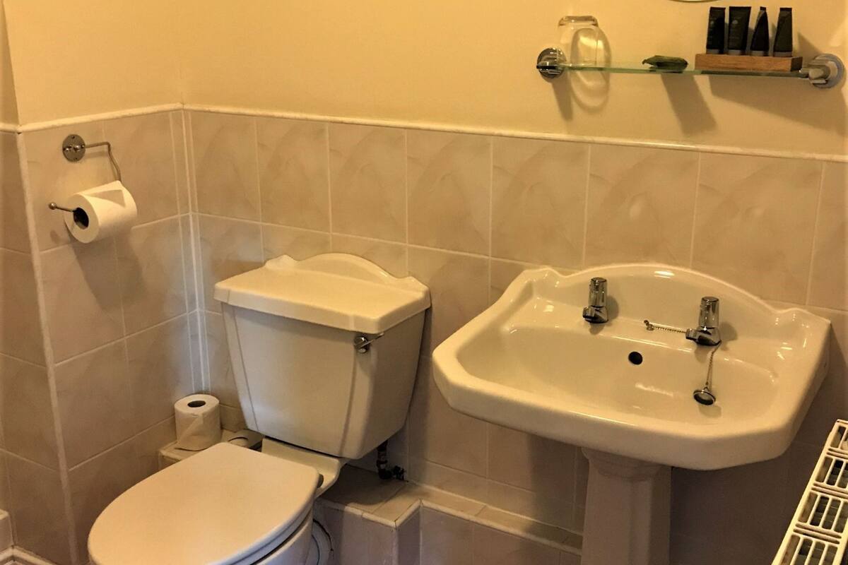 deep-soaking bathtub, free toiletries, hair dryer, towels