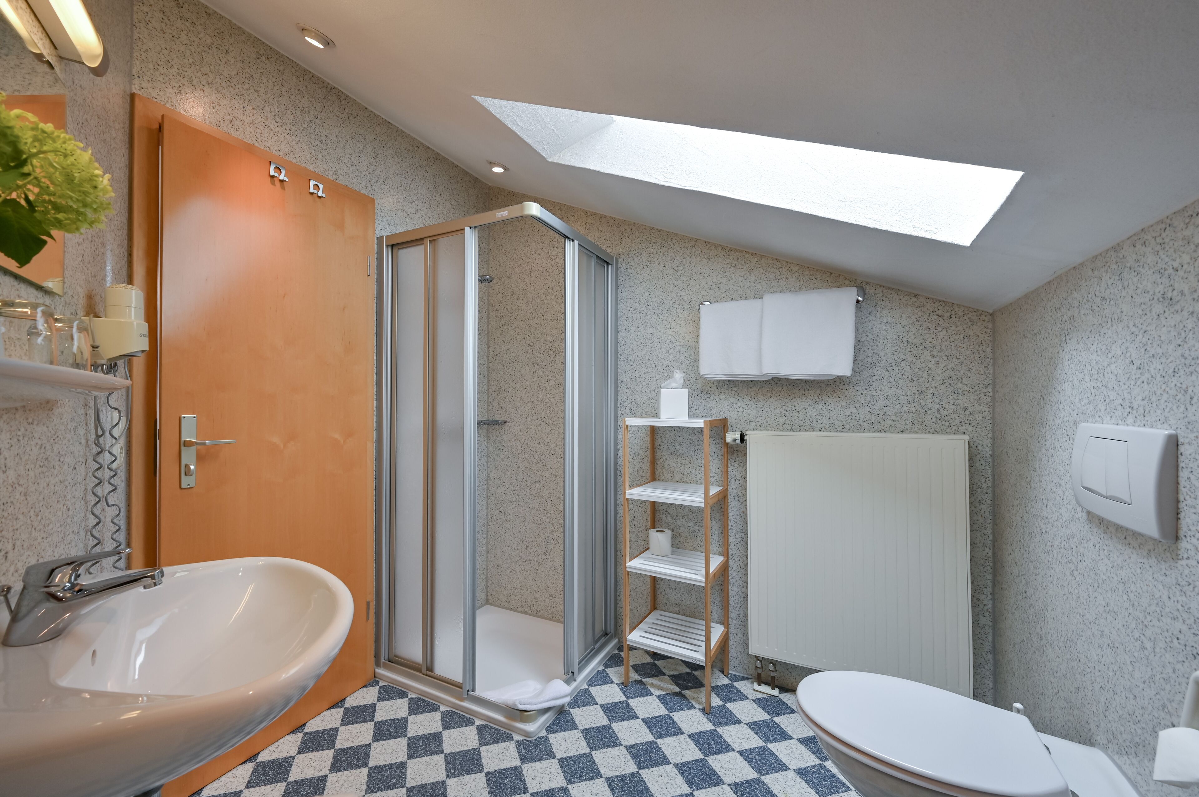 A bathroom with a glass-enclosed shower, a sink, a toilet, and a skylight.