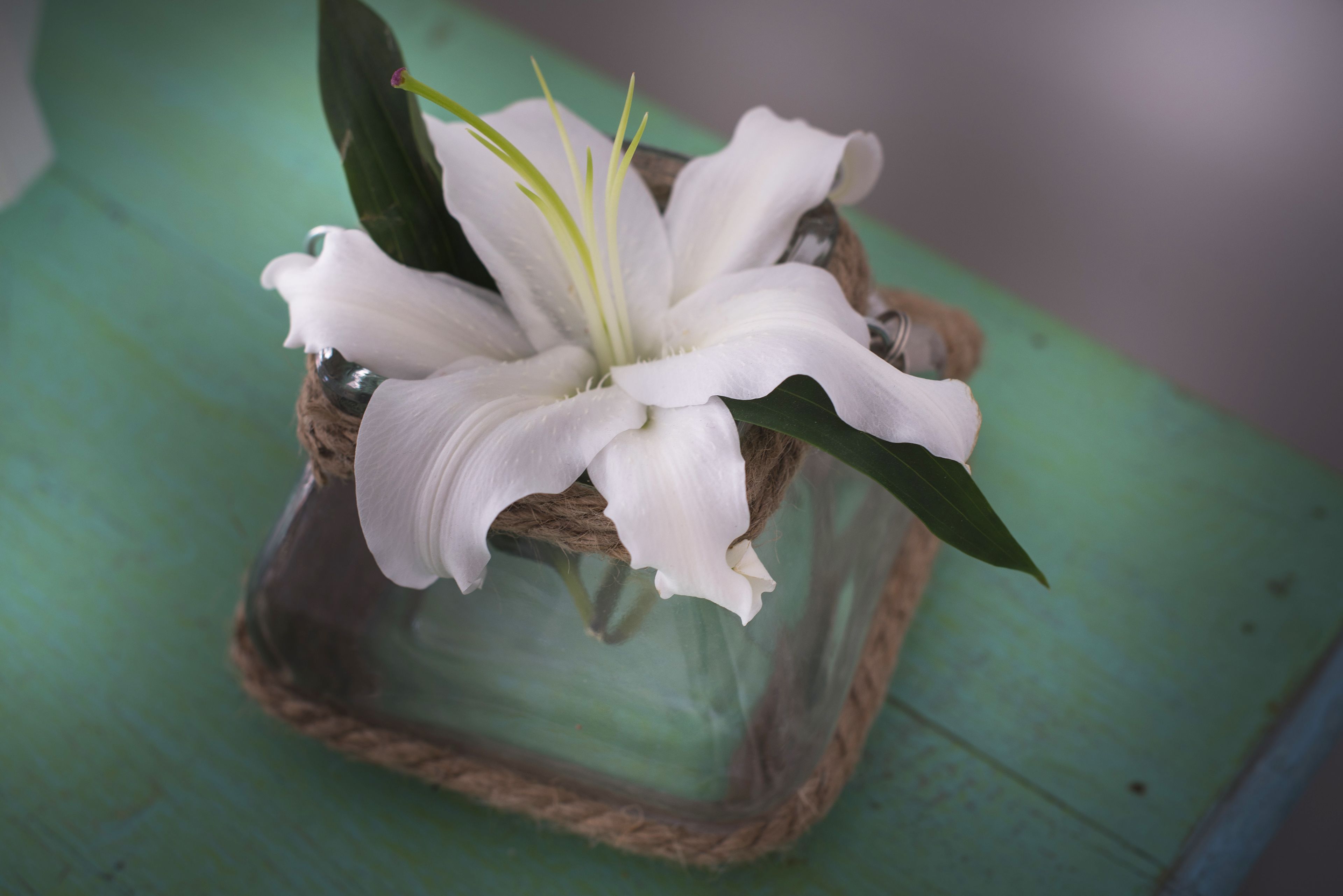Un lys blanc dans un vase en verre doté d’une base en corde, posé sur une surface verte.