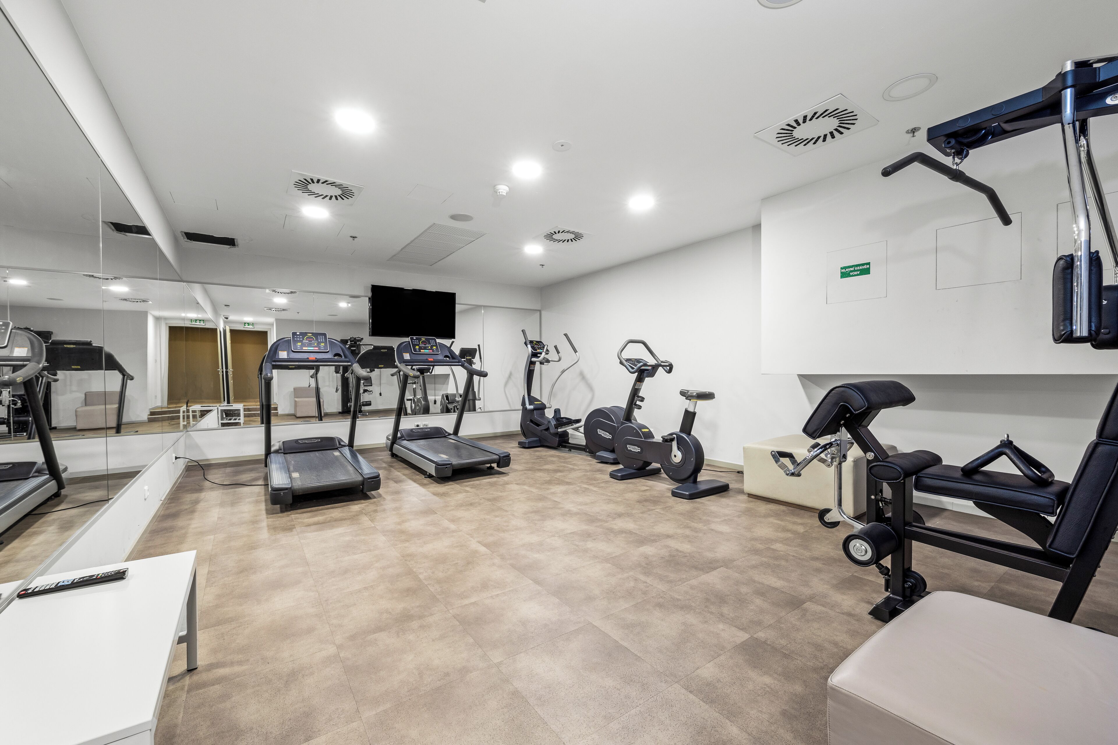 Un gimnasio moderno con diversas máquinas de cardio, una banca de pesas y un muro con espejos.