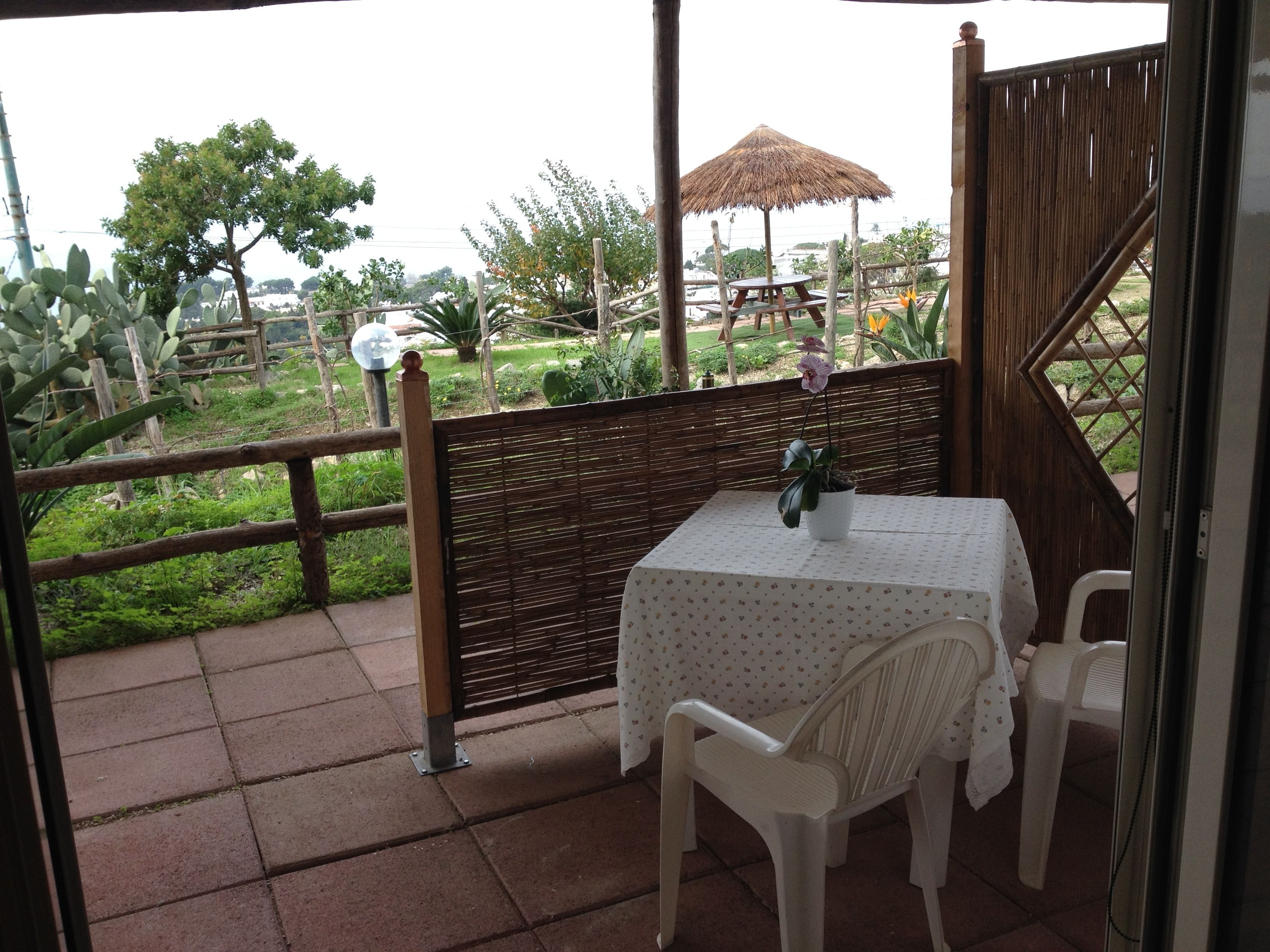 Un espace patio aménagé avec une table et des chaises, un parasol en chaume, et une vue sur un jardin où poussent différentes plantes et arbres.