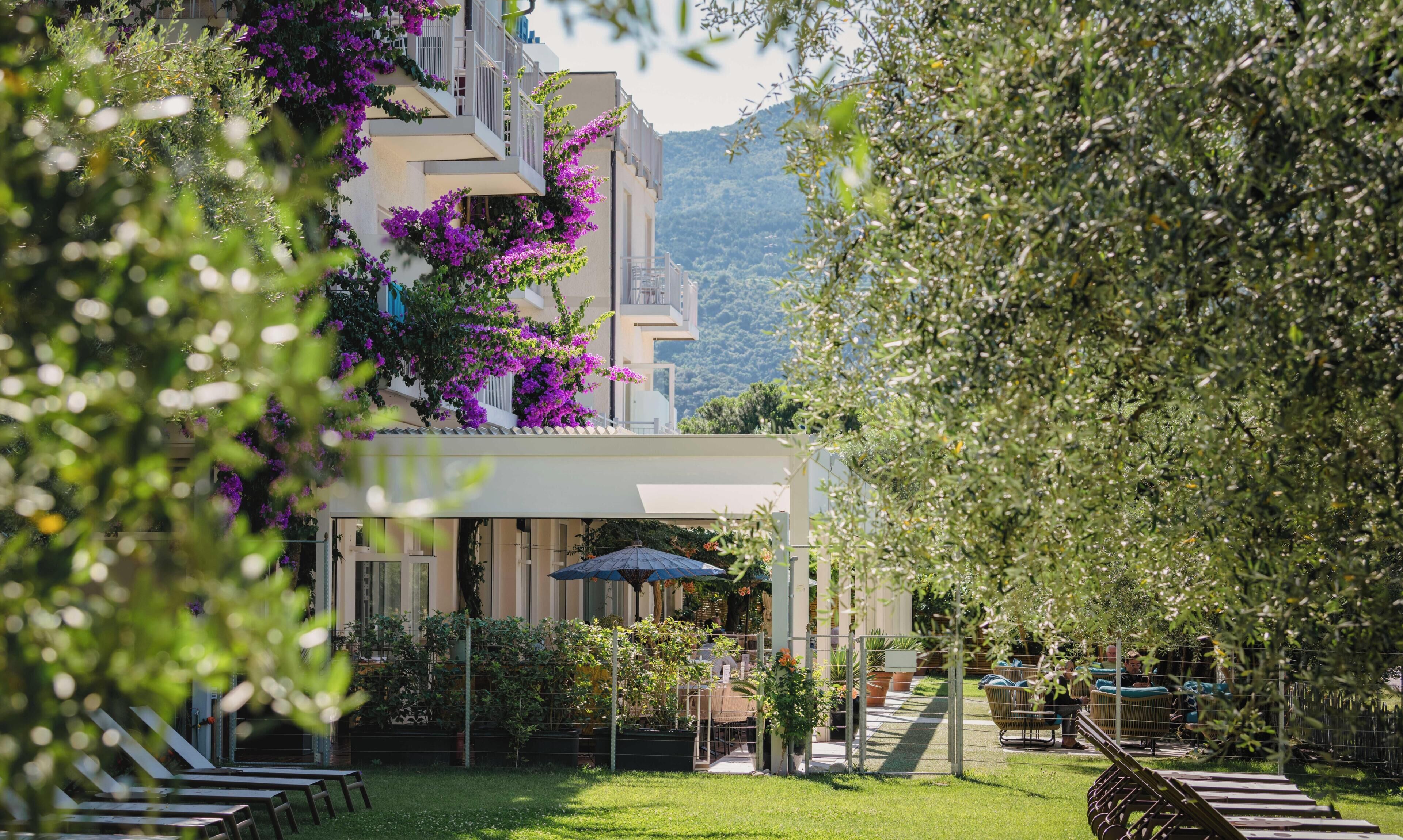Un hôtel doté d’un espace extérieur aménagé et abrité, entouré de verdure et offrant une vue sur les montagnes.