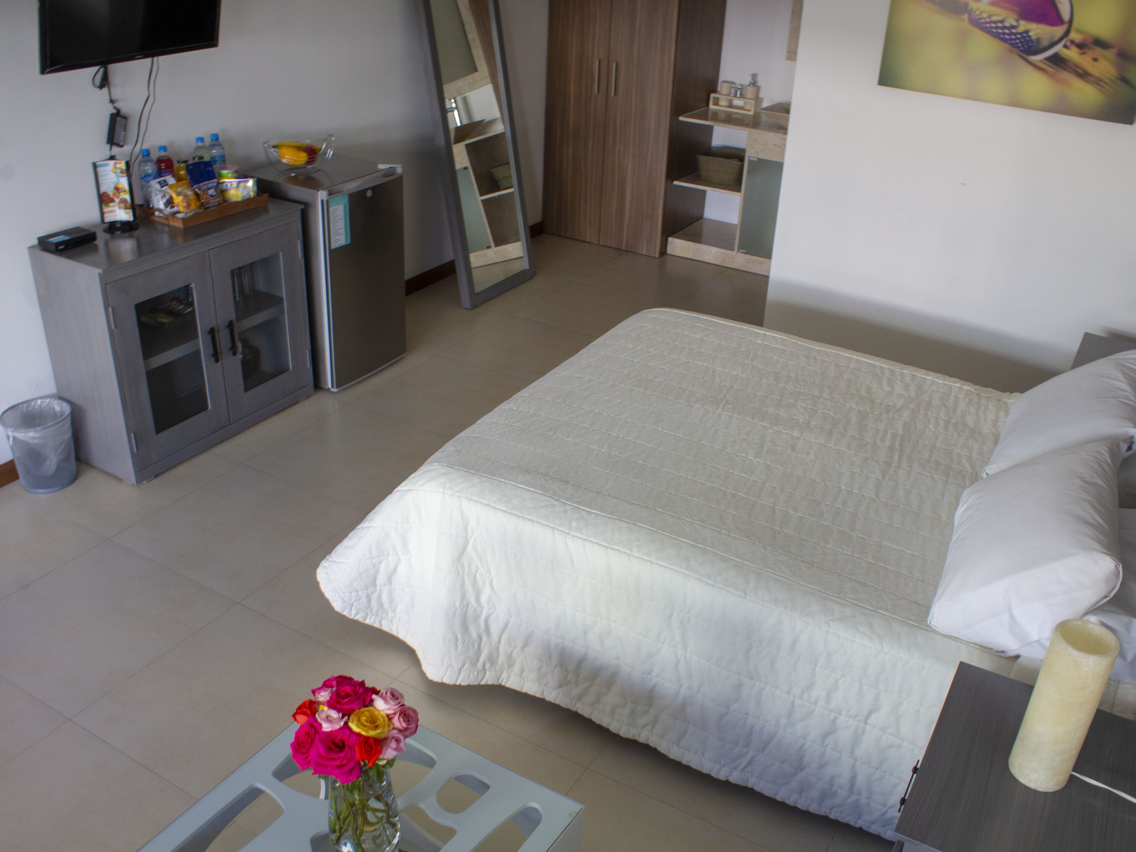 Habitación de hotel con una cama grande, un escritorio pequeño con una computadora, un televisor y un espejo.