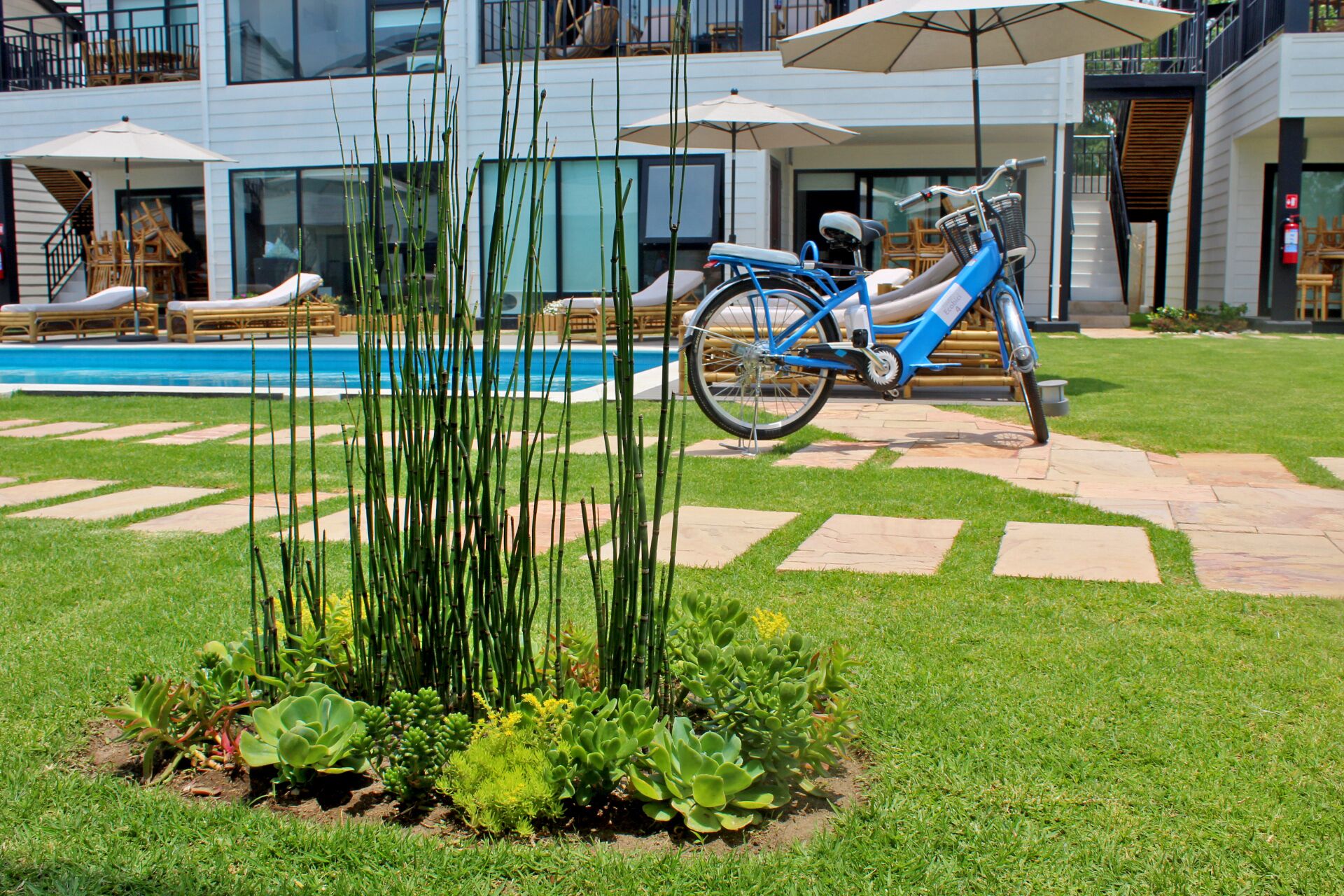 A modern building with a pool, a blue bicycle, and outdoor seating.