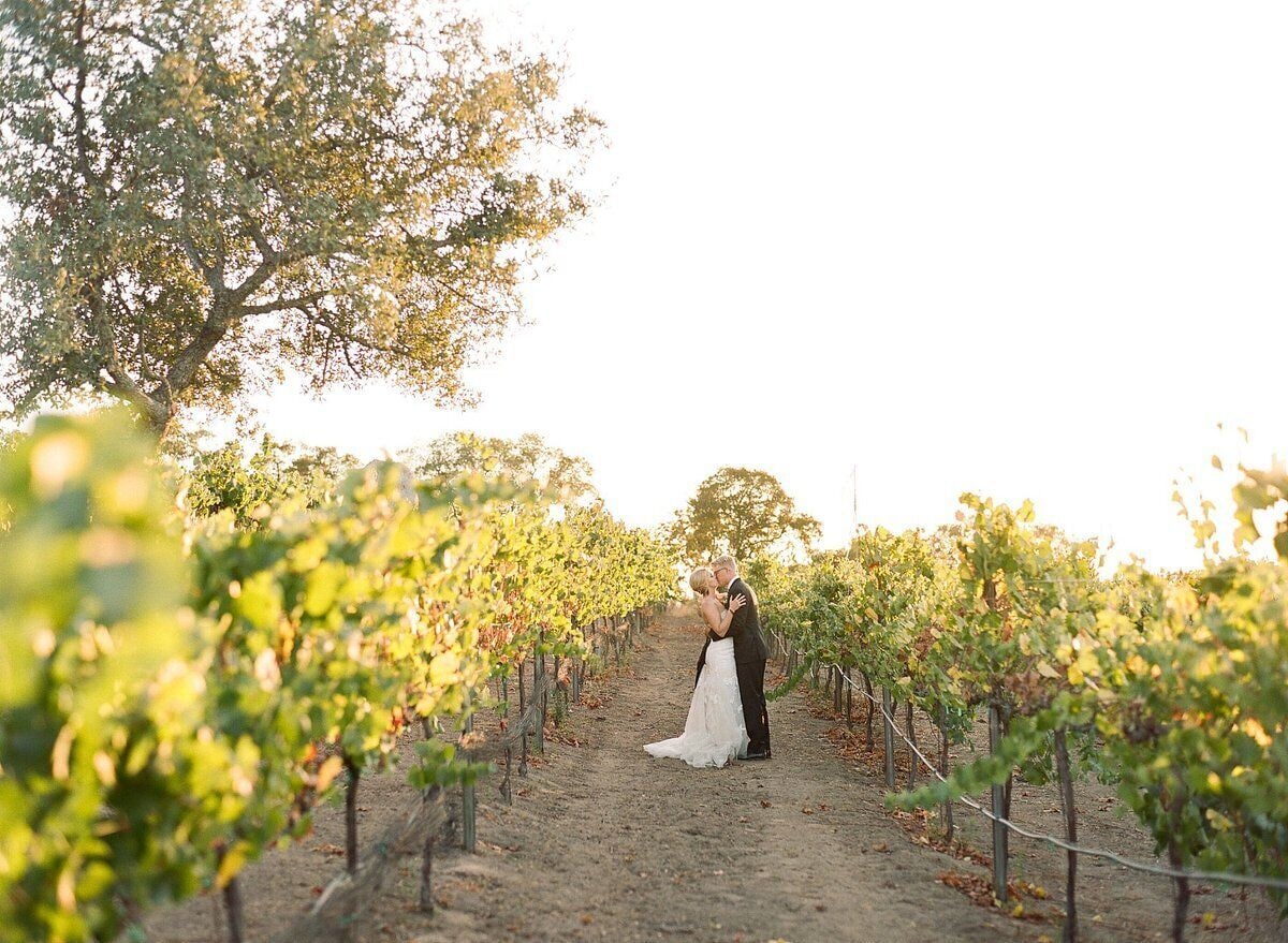 A vineyard with rows of grapevines and a couple embracing in the center.