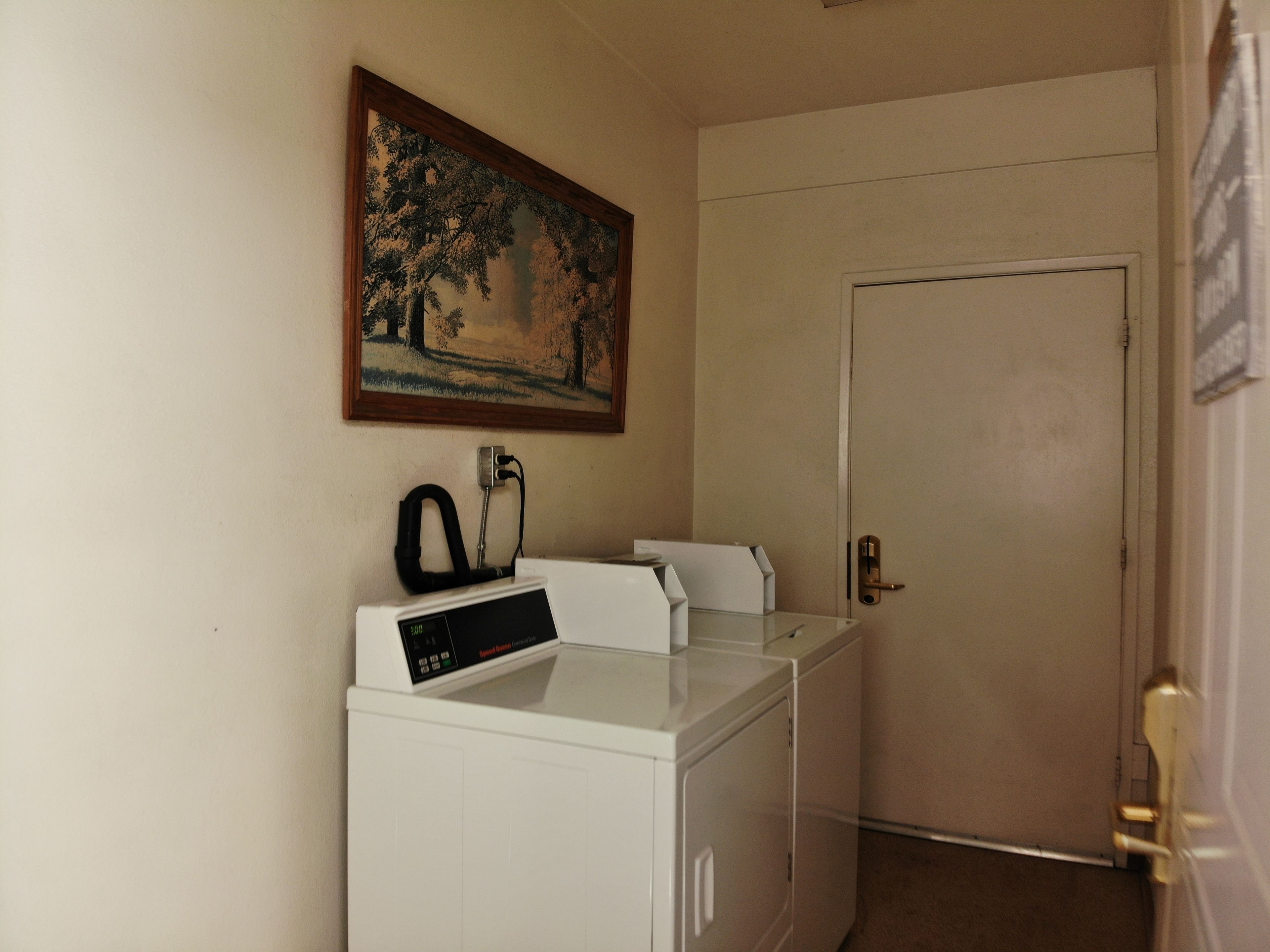 A laundry area with a washing machine and dryer, a painting on the wall, and a door with a lock.