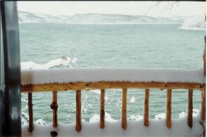 Cabane, plusieurs lits | Vue de la chambre