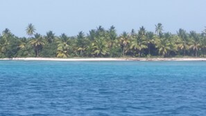 Perto da praia