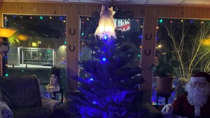 A Christmas tree with blue lights, a chandelier, and a Santa Claus figure in a room with wooden walls and a tiled floor.