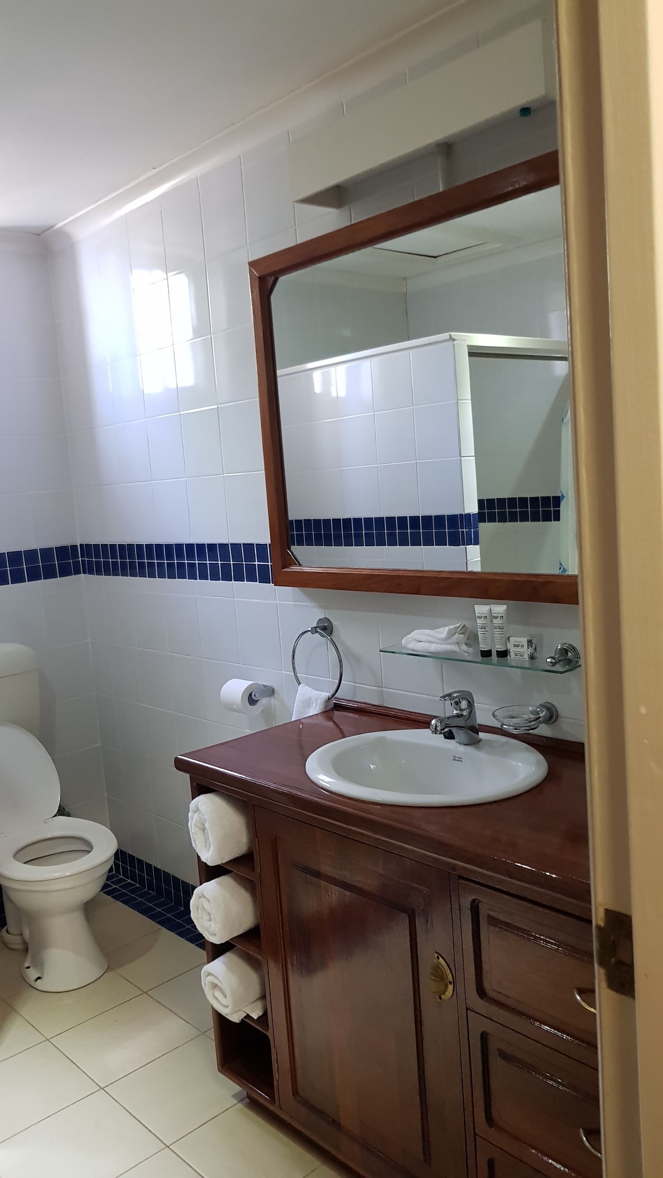 A bathroom with a white toilet, a wooden vanity with a sink, a mirror, and a glass shelf with toiletries.