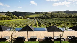 A vineyard with rows of grapevines under a clear sky. There are wooden deck chairs and umbrellas, suggesting a seating area. - Jackalope Hotel (Merricks North)