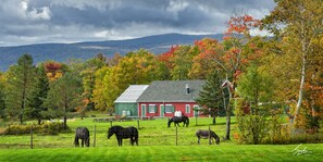 A red barn with a green roof, surrounded by a grassy field with three horses grazing.