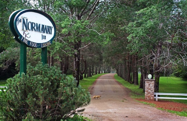 A Normanway Inn sign with a road leading through a forested area.