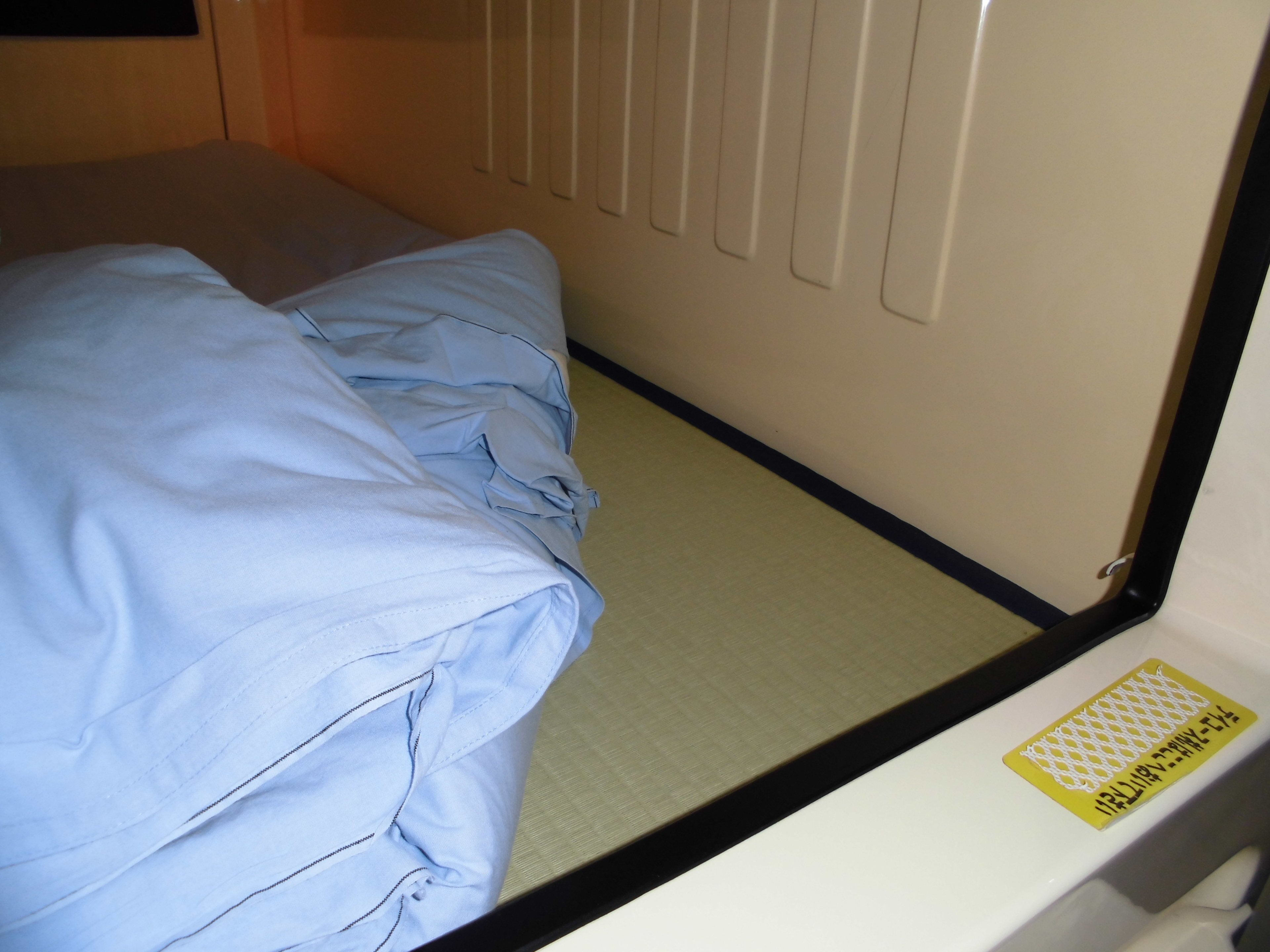 superior capsule room (tattoo restrictions) | free wifi, bed sheets