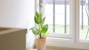 A potted plant on a windowsill with a view of a balcony and a door. - Neat House (Seoul)