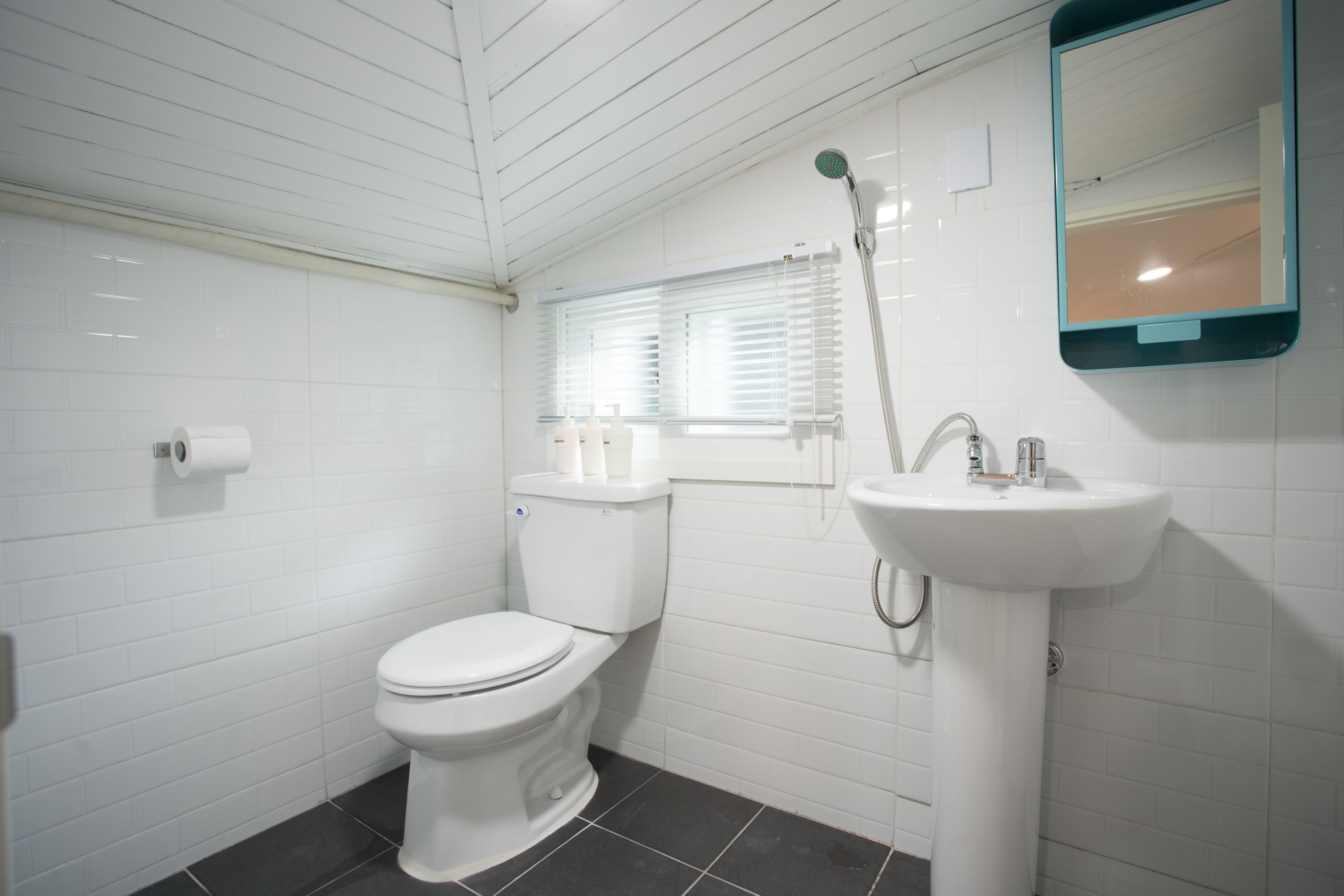 A bathroom with a toilet, a sink, and a shower.