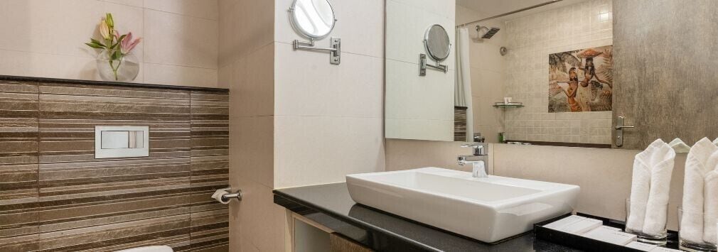 A modern bathroom with a large sink, a mirror, and a shower area.