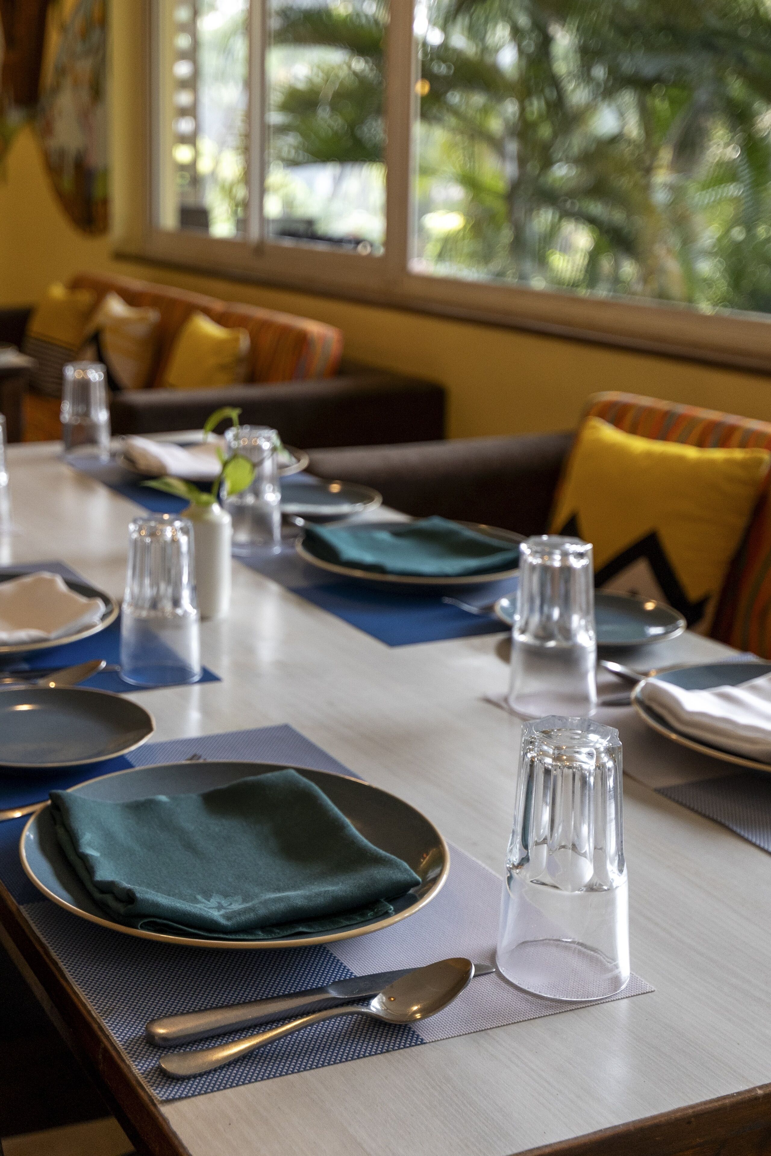 A dining table set with plates, cutlery, and glassware, with a view of greenery outside.