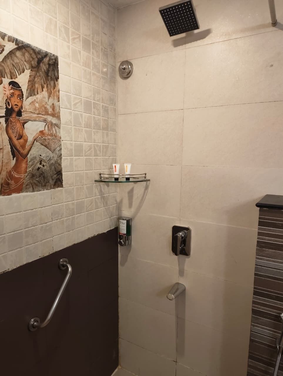 A bathroom with a tiled wall, a shower, a handrail, and a shelf with toiletries.