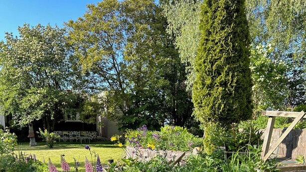 Un jardín con diversas plantas y flores, un muro de piedra y una estructura de madera.