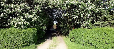 Jardines del alojamiento