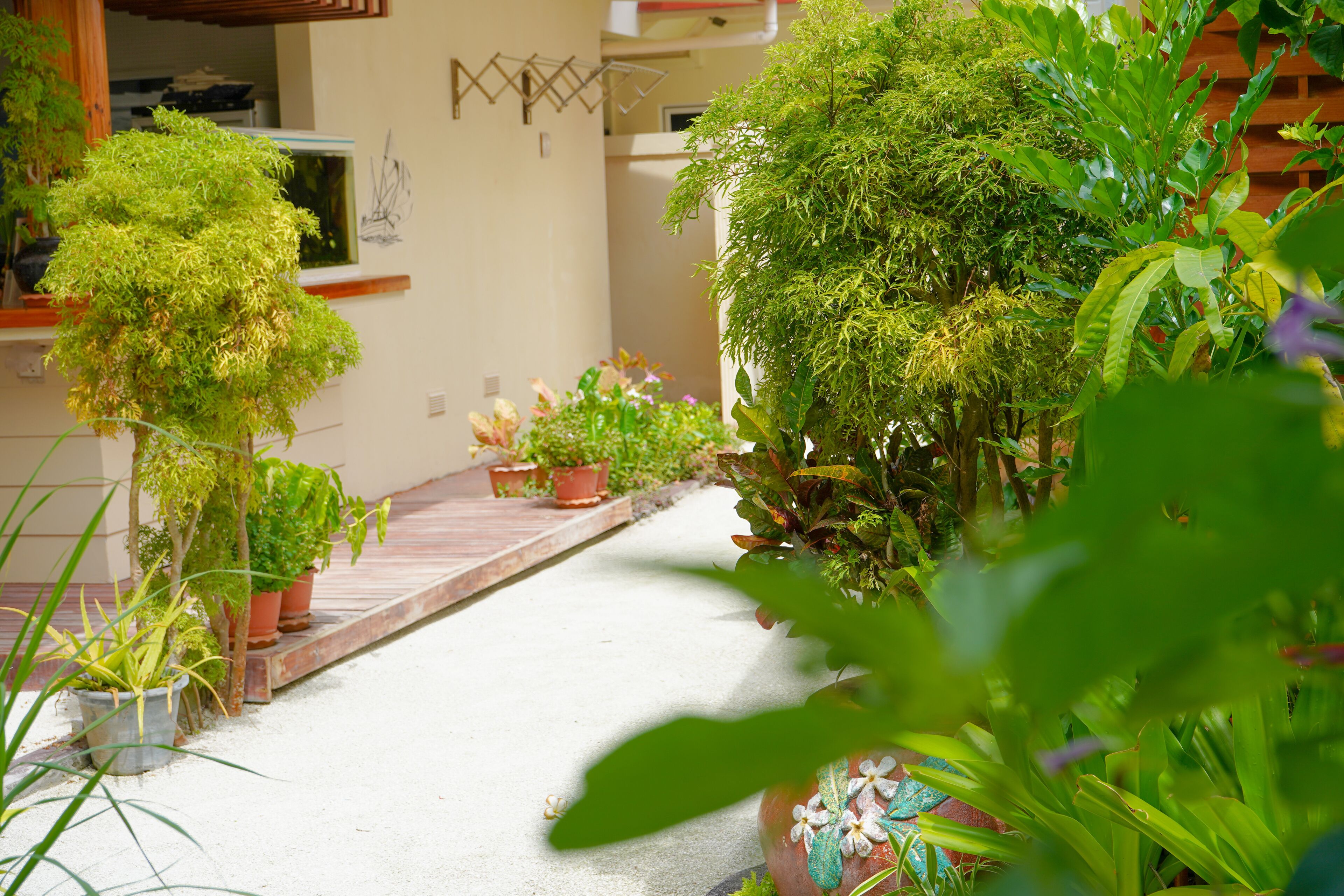 A narrow pathway flanked by potted plants and a small wooden bench.