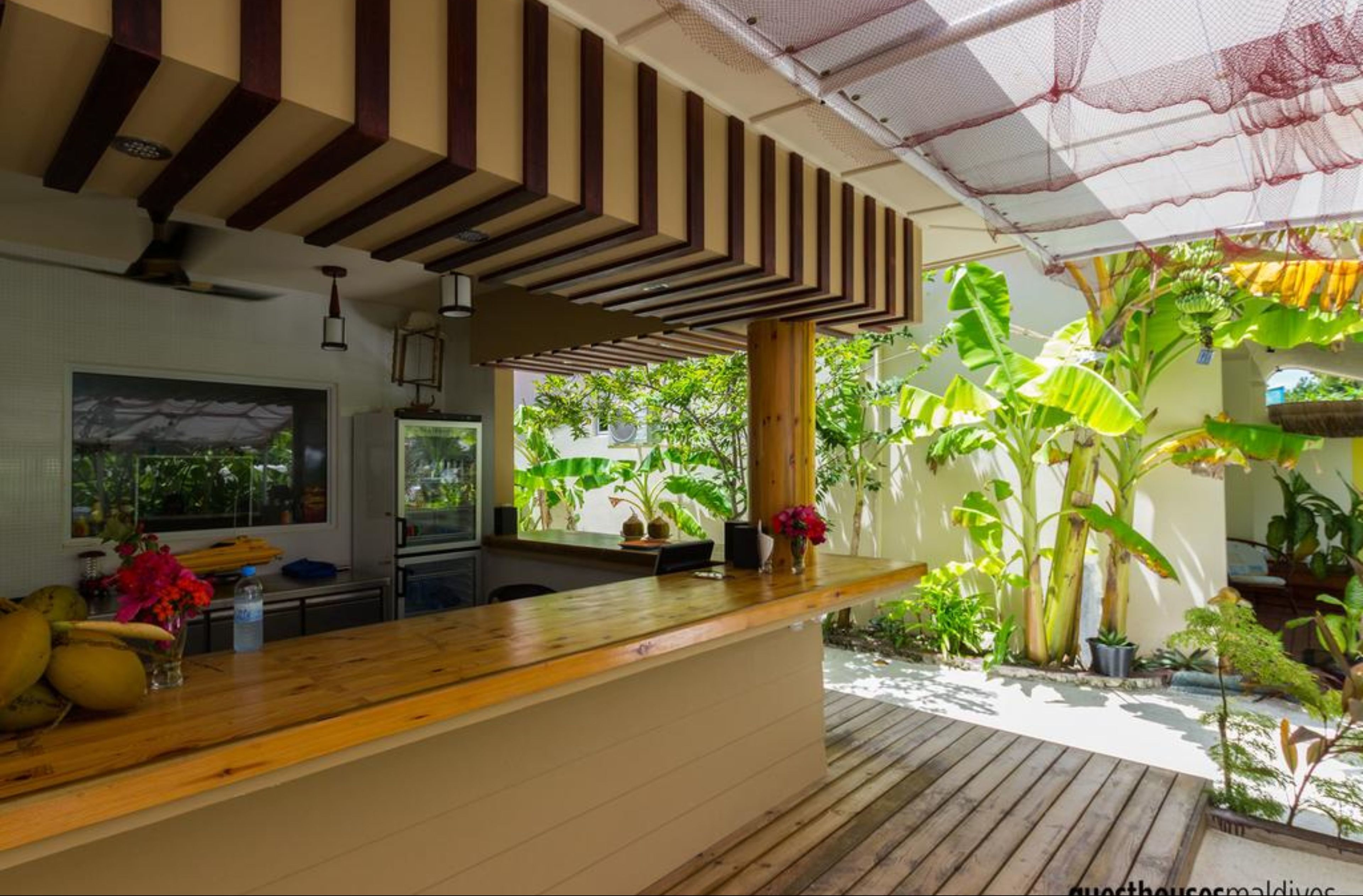 A kitchen with a wooden counter, a television, and various plants.