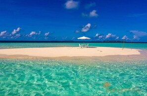 Breakfast, lunch and dinner served