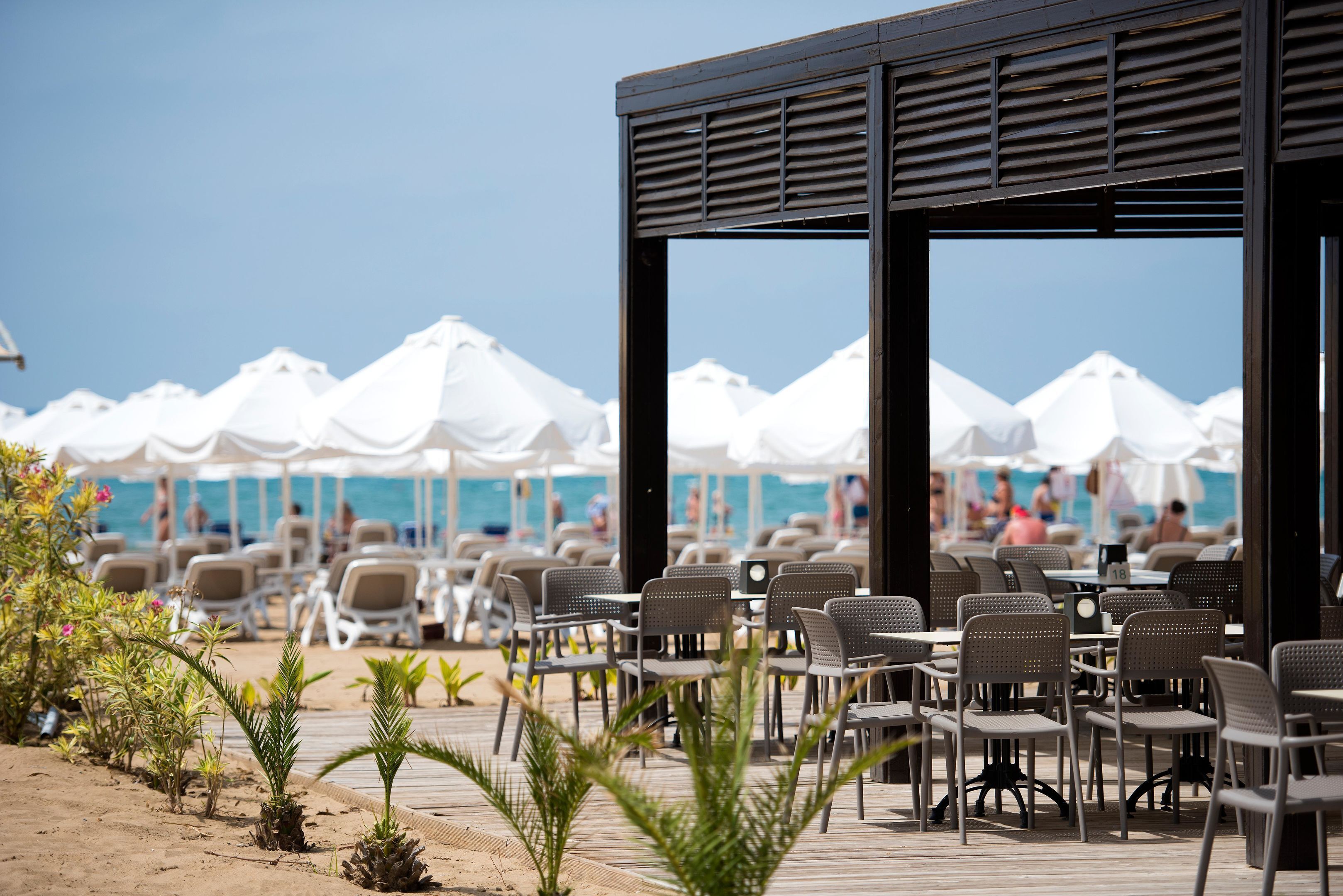 A beachside restaurant with outdoor seating, white umbrellas, and a view of the beach and ocean.