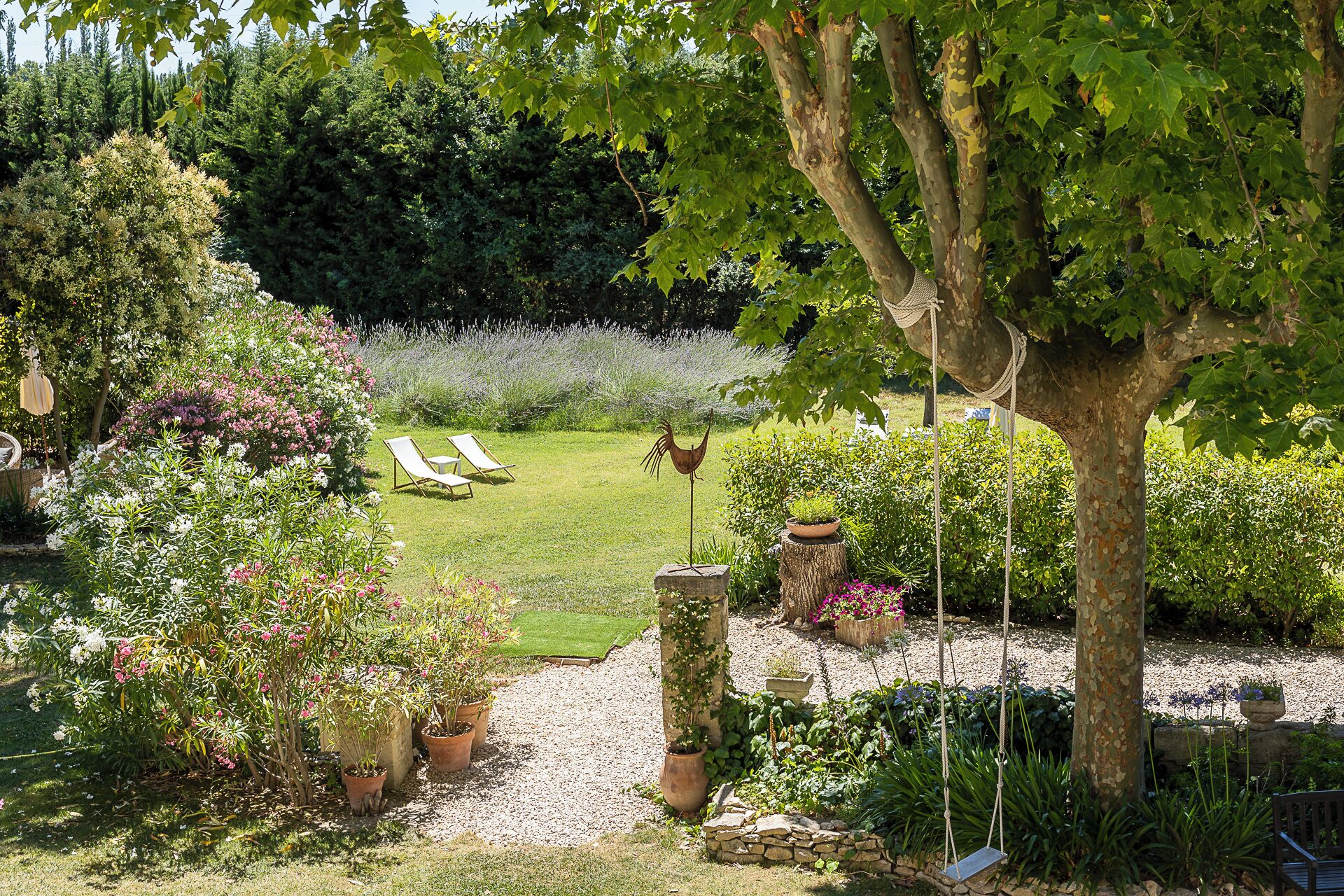 A garden with a lawn, two lounge chairs, and various potted plants.