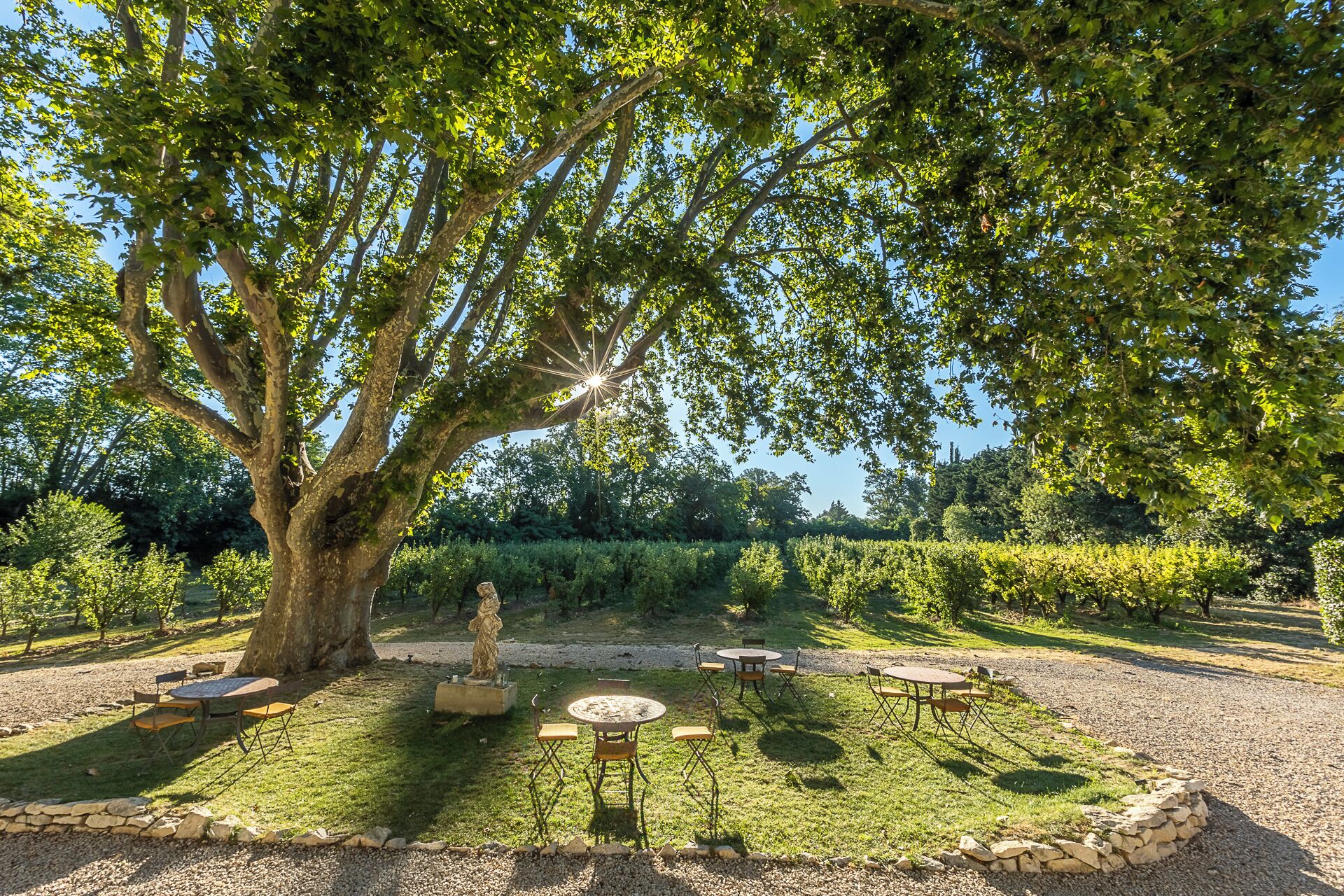 Garden view