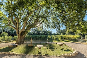 Garden view - Mas de Capelou (Avignon)