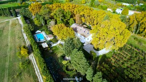 Vista aérea de una propiedad con piscina, una casa grande y árboles circundantes.