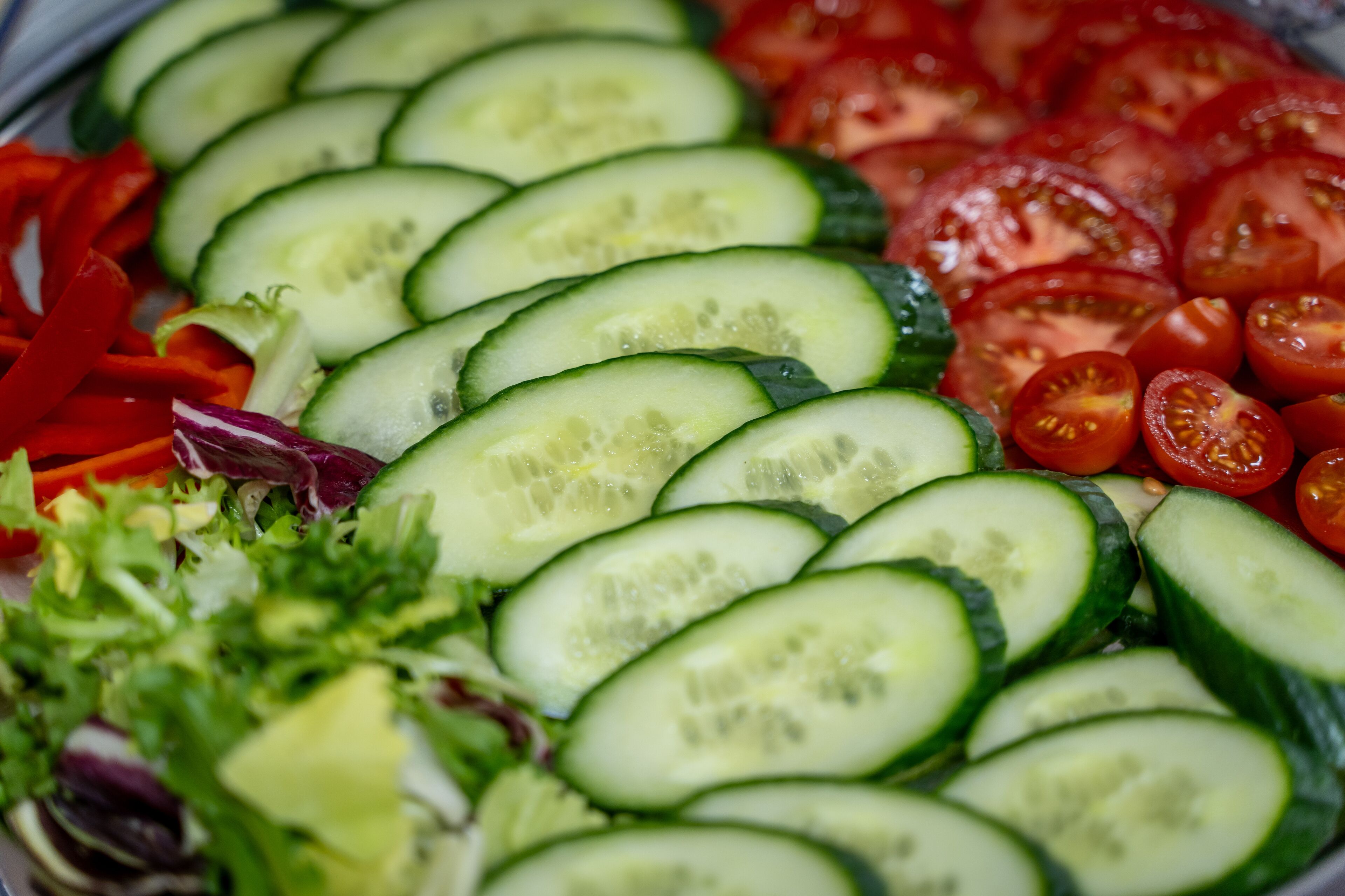 Insalata con cetrioli a fette, pomodori e insalata mista.