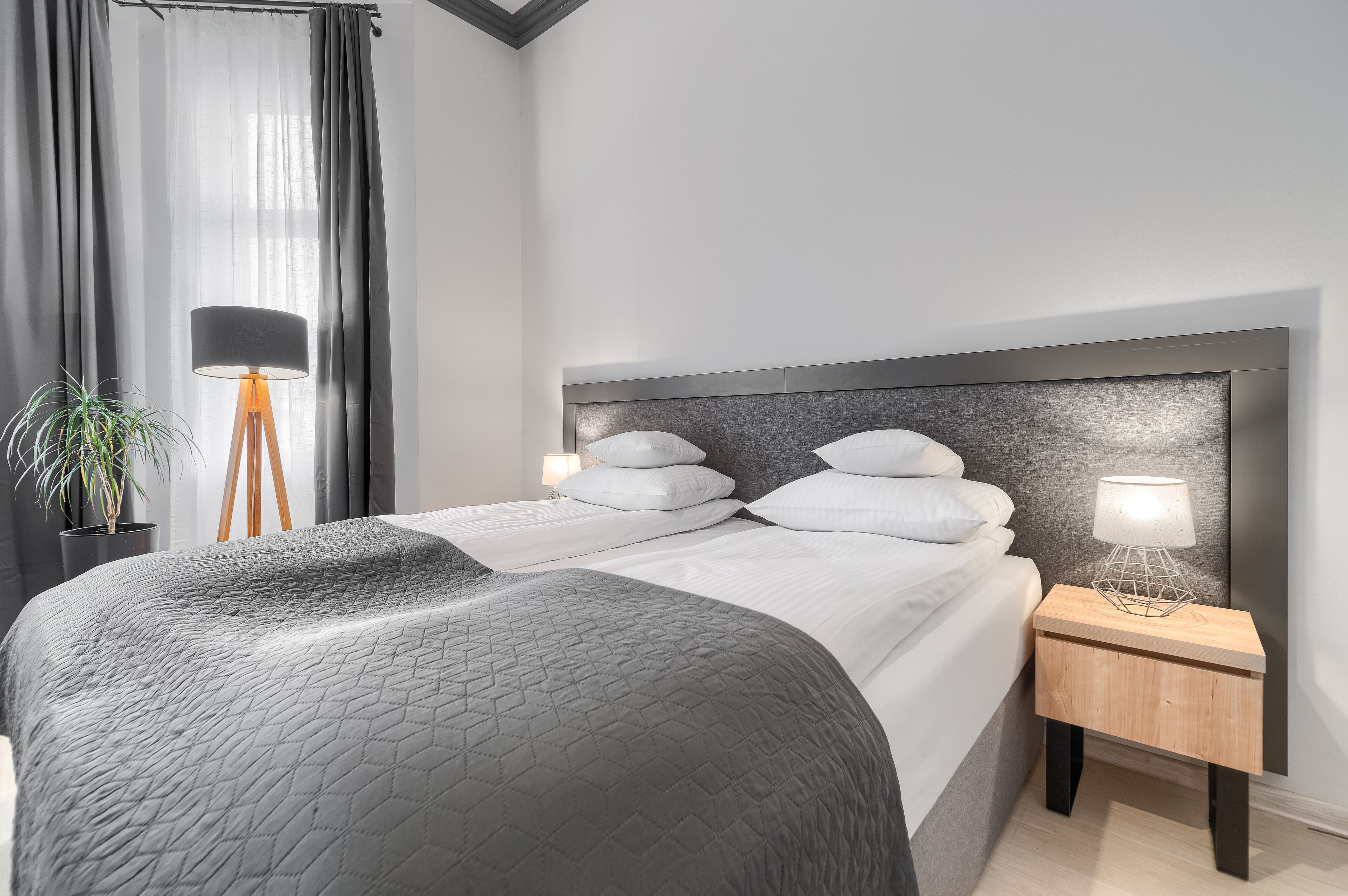 A modern bedroom with a large bed, a bedside lamp, and a potted plant.