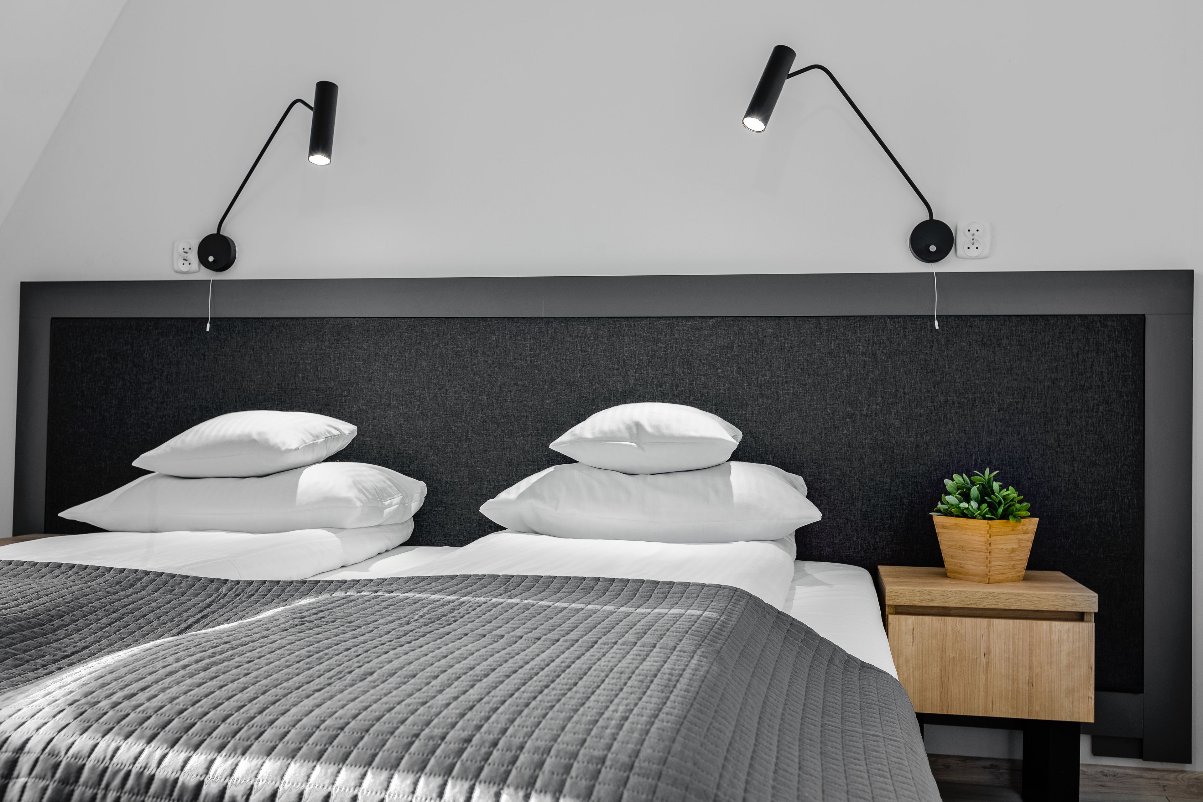A modern bedroom with a large bed, two bedside lamps, a nightstand with a plant, and a dark headboard.