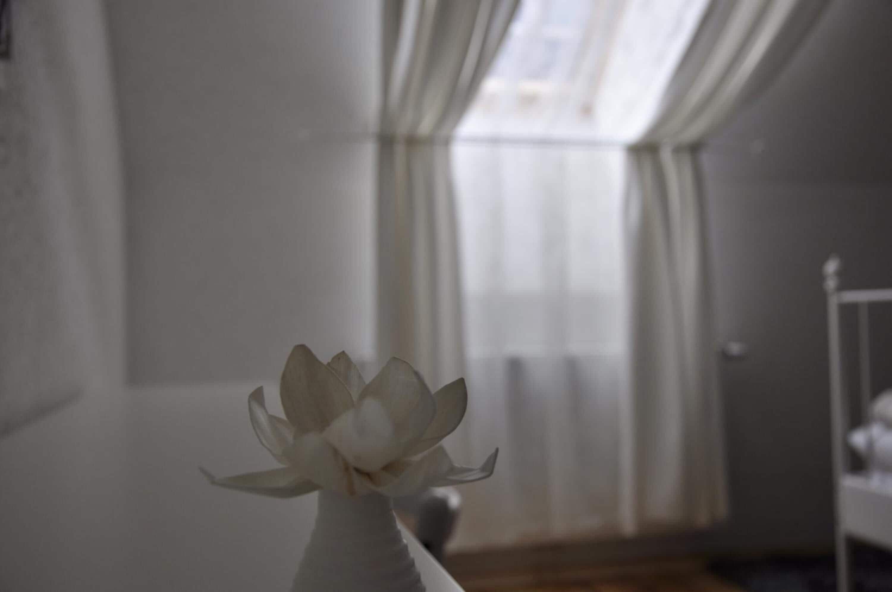 Foto - Guesthouse Stari Tišler