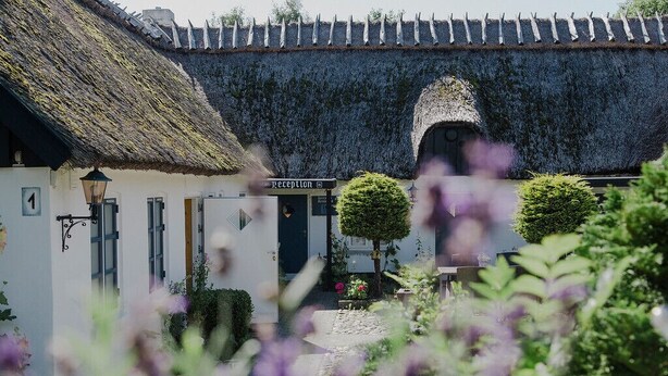 A traditional building with a reception area, a thatched roof, and a stone wall. - Havgaarden Badehotel (Vejby)