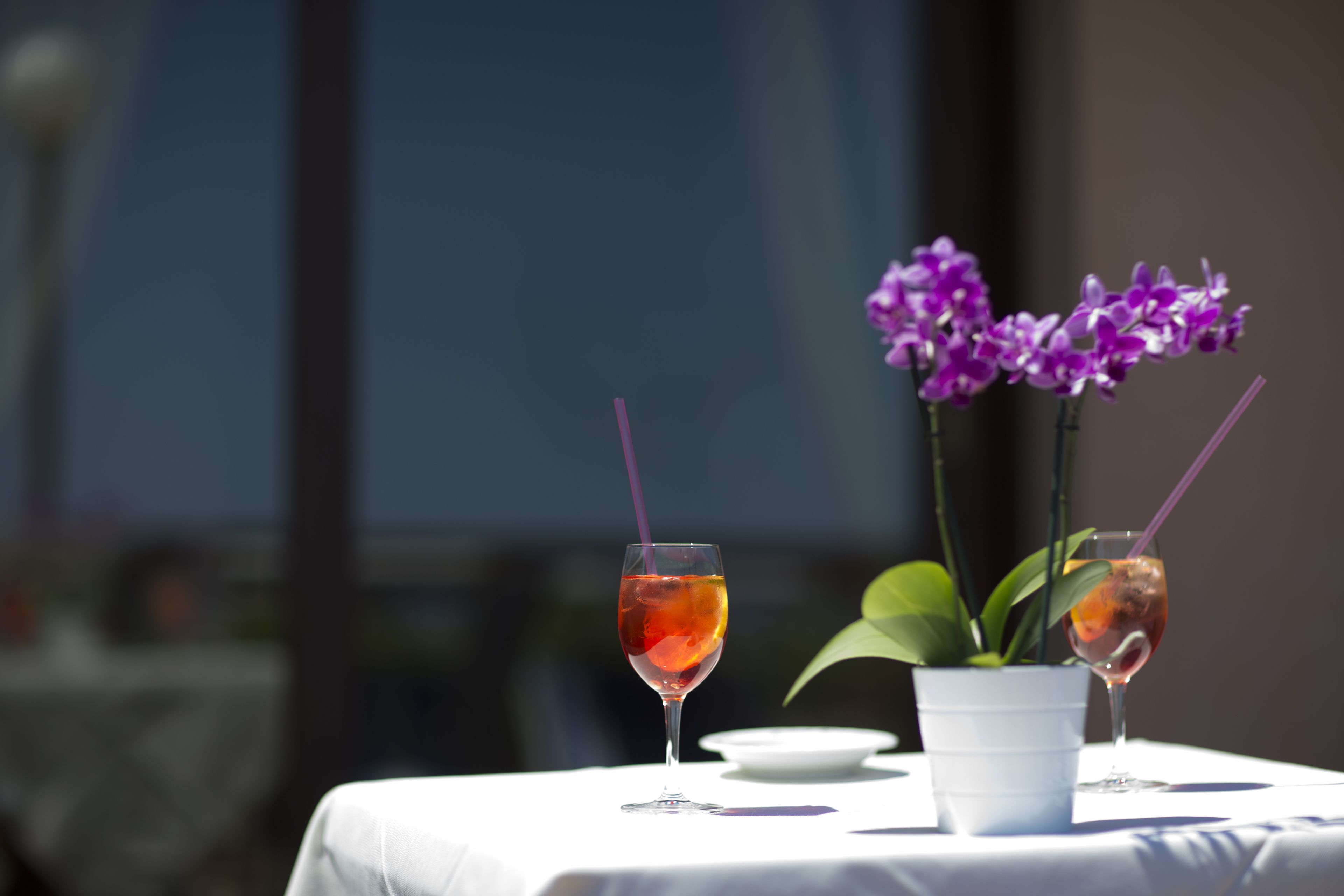 Ein Tisch mit zwei Gläsern eines roten Getränks, einem weißen Teller und einer Topfpflanze mit violetten Blüten.
