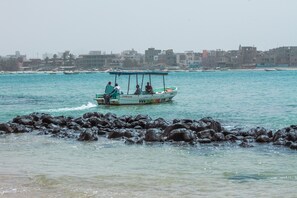 شاطئ