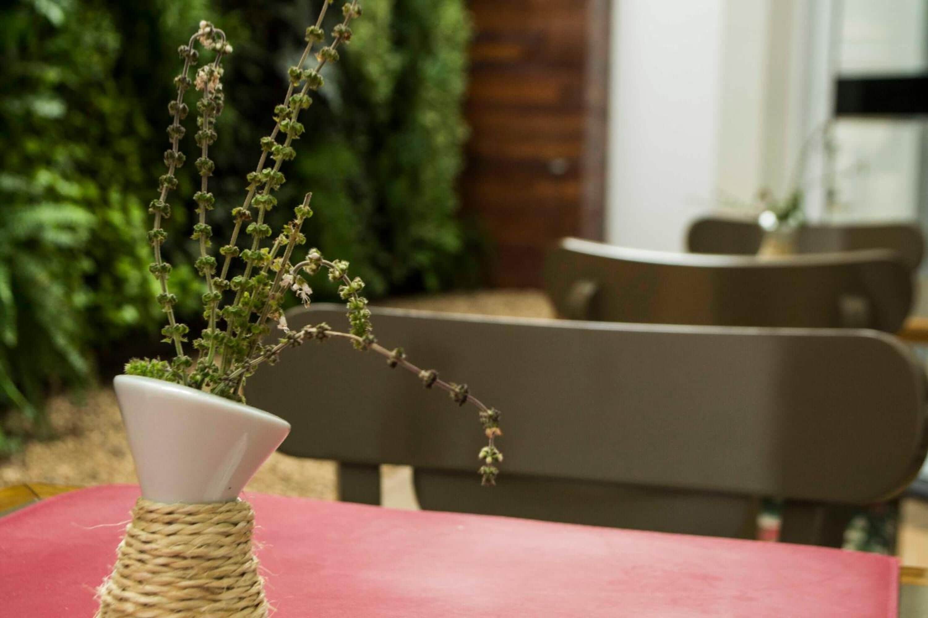 lunch and dinner served, brazilian cuisine