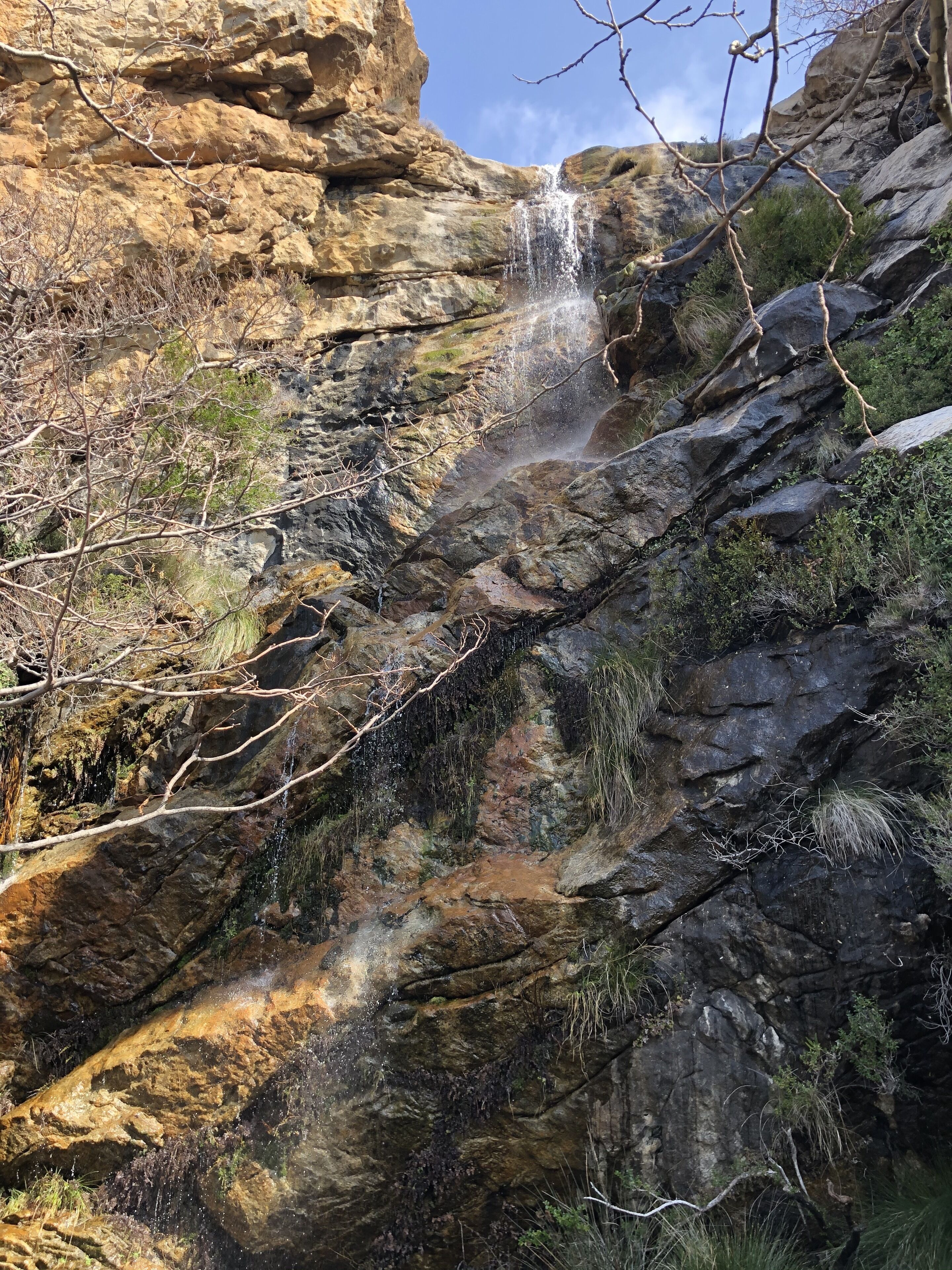 Photo - Taki's Guests