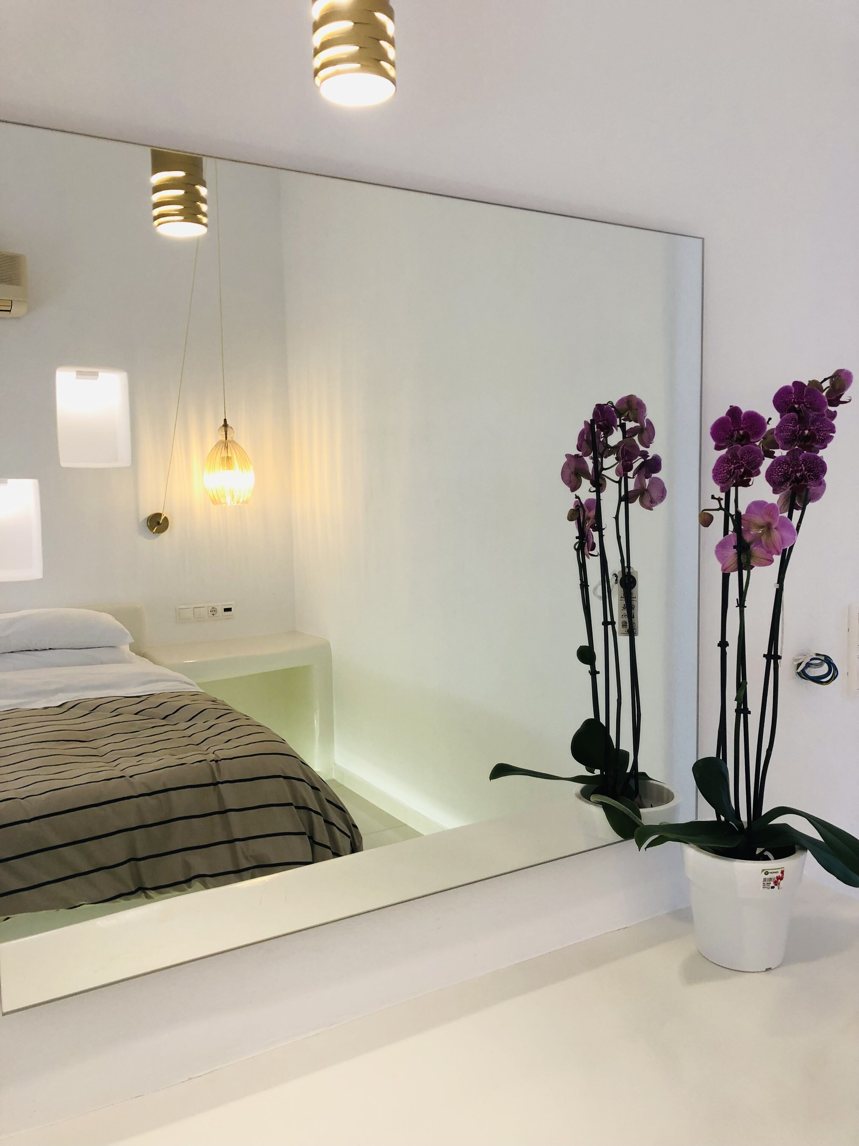 Un dormitorio moderno con un espejo grande, una cama con ropa de cama a rayas y una orquídea en maceta.