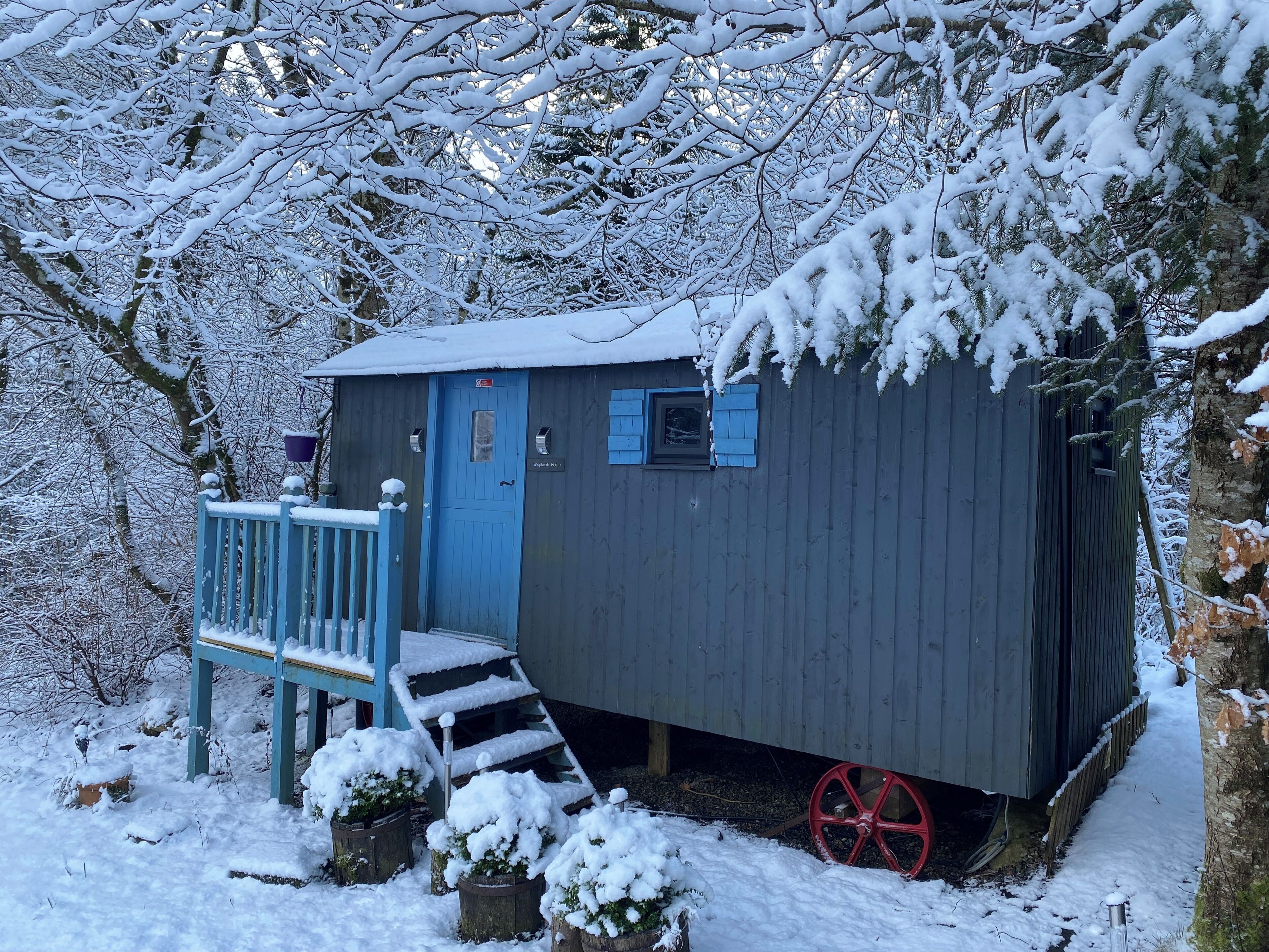 A small, single-story cabin with a blue door and windows, surrounded by snow-covered trees.