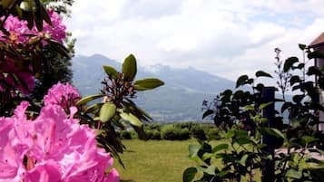 Blick auf die Berge
