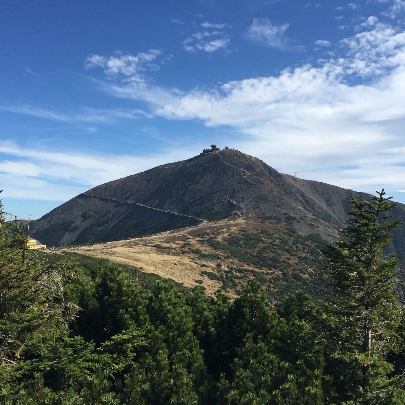 A mountain with a cable car system, surrounded by dense forest.