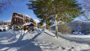 A snow-covered building with icicles, a tree, and a snowy mountain in the background. - Alpský hotel (Spindleruv Mlyn)